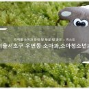 서초구 우면동 소아청소년과, 소아과 목록, 방문 병·의원 체크리스트 - 최신
