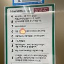 아레나 게임랜드 이미지