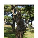 솔뫼성지 소나무 이미지