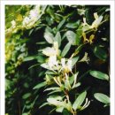 휴식 Ⅱ 이미지