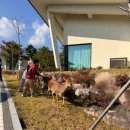 아산봄내과의원 이미지