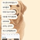 어제 이브가 밤에 내손을 자꾸 물길래 네이버에 손무는 강아지 라고 검색을햇쓴데 이미지
