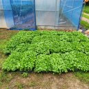 대명농자재 이미지