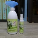 편백향기 이미지