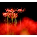 물돌이농장 이미지