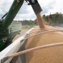 대두농장 이미지