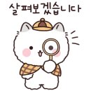 벨리아뷰티 네이버블로그