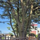 흙담솔로 이미지