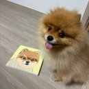 봉황붓