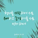 홍귤 이미지