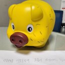 돼지저금통 - 청주시 서원구 | 돼지저금통