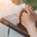 수빈목장 이미지