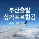 리얼레스트작은도서관 | [쿠알라룸푸르 한달살기] 부산→싱가포르→쿠알라룸푸르, 가족 경유 비행 리얼 후기
