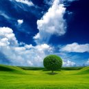 동그마니 이미지