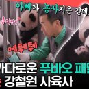 전지적 참견시점 엠뚜루마뚜루 미식가 푸바오 패밀리 사이에서 고군분투하는 강철원 사육사 영상 이미지