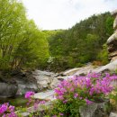 서출동류 물길 트레킹 길 이미지