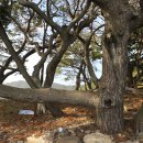 아라한2 이미지