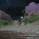 태수목장 이미지