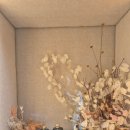 일가약국 이미지