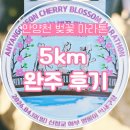 어르신 건강체조(A) | 2026 안양천 벚꽃 마라톤 5km 완주 후기, 마라톤 대회 정보 및 현장 총정리