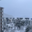 괴산G마트 | 네번째 관사 괴산 문무아파트 군인 관사 아이랑 가볼 만한 곳