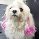 On hair (온헤어)