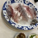 목포_별암유성횟집 (Feat: 참돔맛집)