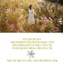 또요 Daum카페