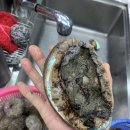 나드리펜션 | 승봉도신축펜션 하루가 꽉 찼던 승봉나드리펜션 후기 :)