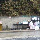 포항 씨클라우드 스파펜션 | 포항 오션뷰 스파펜션 씨클라우드 펜션 302호 내돈내산