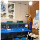 두물농원 | 아빠 좋은곳 알려주셔서 감사해요 부모님 입맛도 사로잡은 곳 두물머리맛집 산들에농원 민물장어