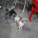 청풍호 청정한우 이미지