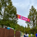 신소양 | 경남 합천 가볼만한곳 핑크뮬리 신소양체육공원 실시간