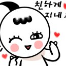 스테이영피부과의원 이미지