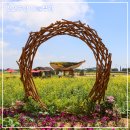 하늘6(유채밭) 이미지