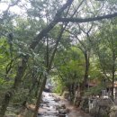 은고개로 Daum카페