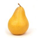 배(梨, Pear) 이미지
