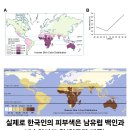 한국인은 유색인종이 아니라는 백인 여성 이미지