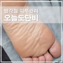 파주 3.1운동 발 | 파주 금릉 오늘도단비 실크플래닝 발각질 피부관리 후기
