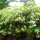 주식회사 사이다 이미지