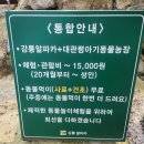 대관령 아기동물농장 이미지