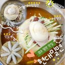 밀면 - 해운대구 선수촌로 184 | 내돈내산 경주 현지인 밀면 맛집 현대밀면 솔직 후기