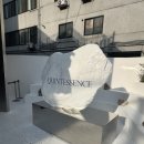 [전시] 태양의 특별 전시회 〈TAEYANG QUINTESSENCE〉 방문 후기(5/22)