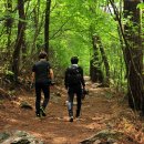 바람소리새소리 이미지