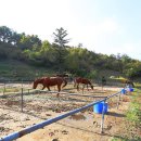 오케이승마목장 이미지