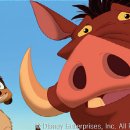 하쿠나 마타타 이미지