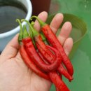 금천장애인종합복지관 이미지