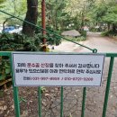 문수골산장 | 서울근교 호수뷰 애견동반가능 캠핑장 김포 " 문수골힐링캠핑장" 예약방법 및 명당 캠 후기