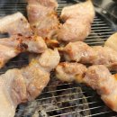 원조부안집제주