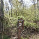 월정보건진료소 이미지